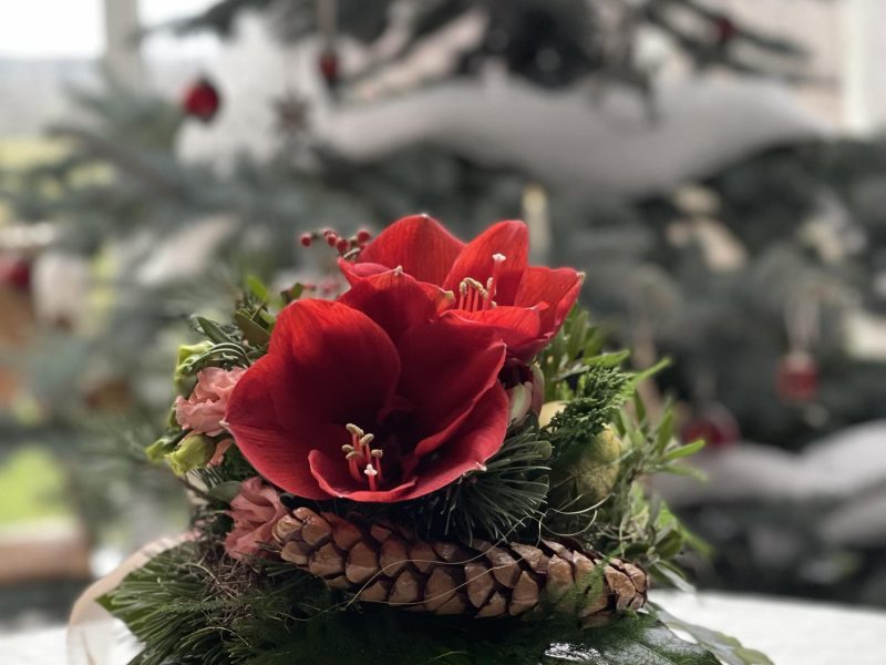 Weihnachten Blumen-1500x2000